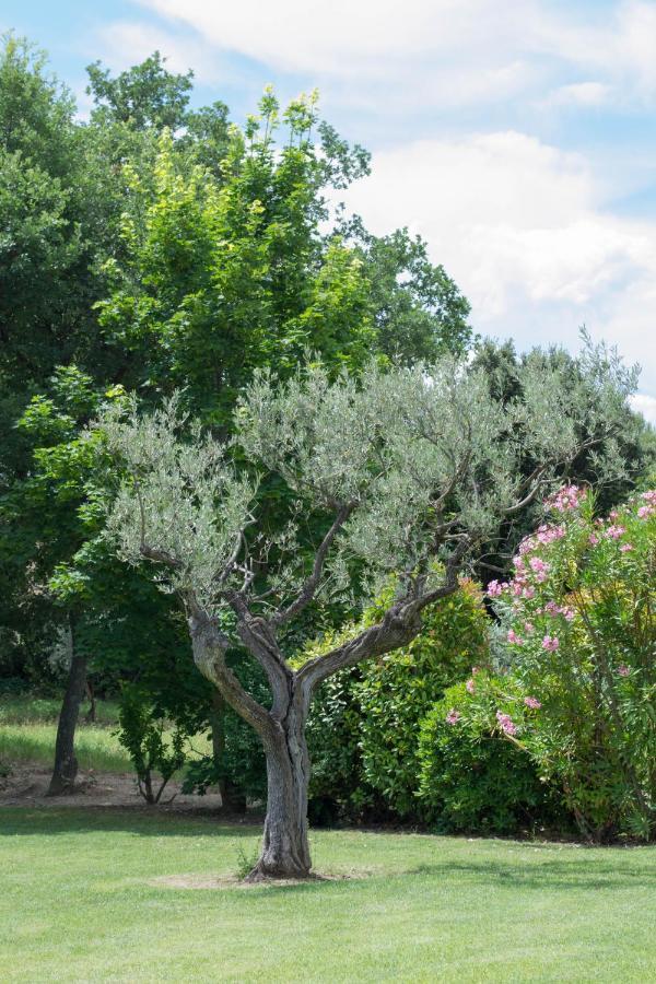 Bed and Breakfast Le Bouquet De L Aromate Joucas Exterior foto